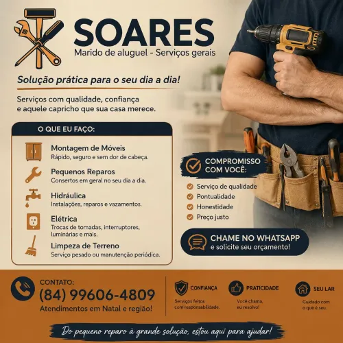 Marido de Aluguel/ Reparos