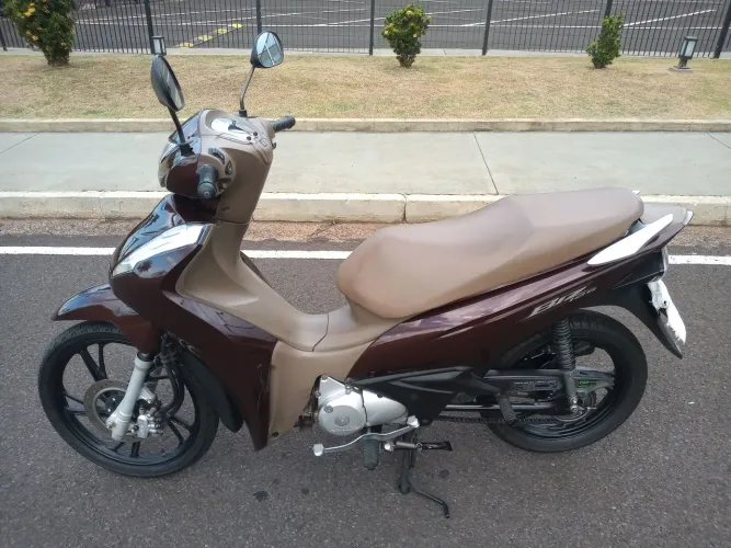 Biz 2022 ex