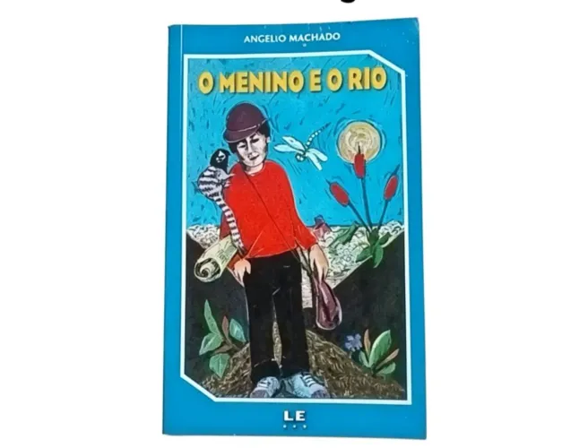 Livro O Menino E O Rio