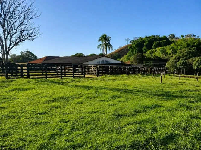 Fazenda à venda, 3500000 m² por R$ 65.000.000,00 - Goiânia - Goiânia/GO