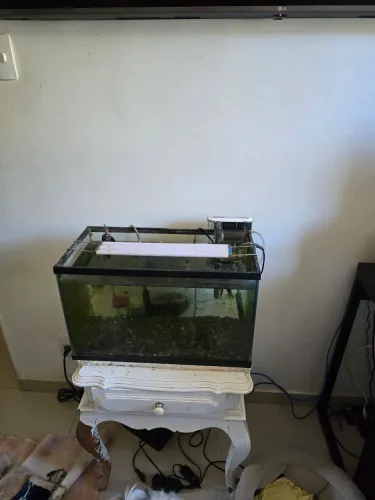 Vende-se aquario 45cm com todos acessorios