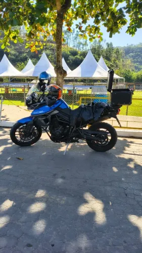 Vendo tiger