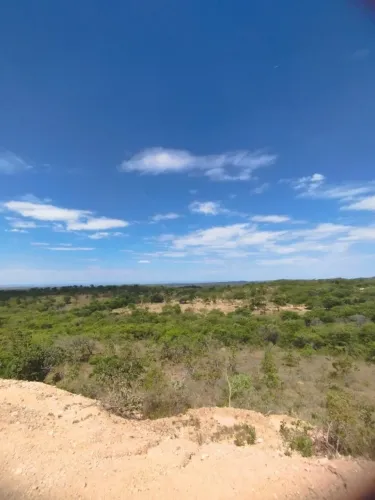 Terreno com 130 hectares em Curvelo-MG