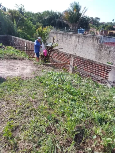Terreno de 8X26 m².  R$ 90.000,00  Parque das Palmeiras 