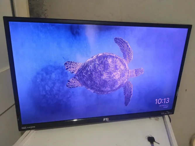 Tvs