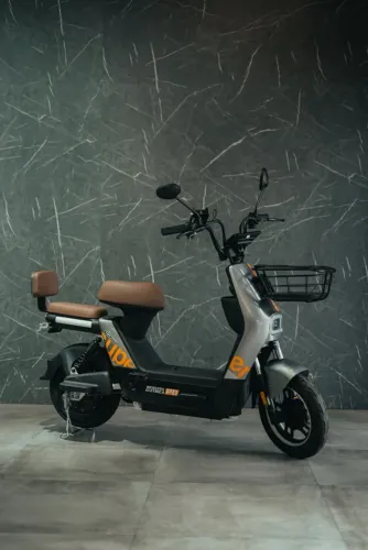 Moto eletrica scooter panda t2 800w