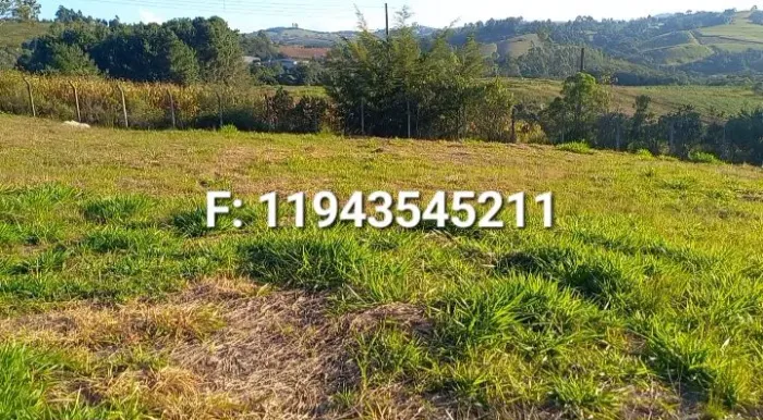 Terreno no campo em Munhoz MG