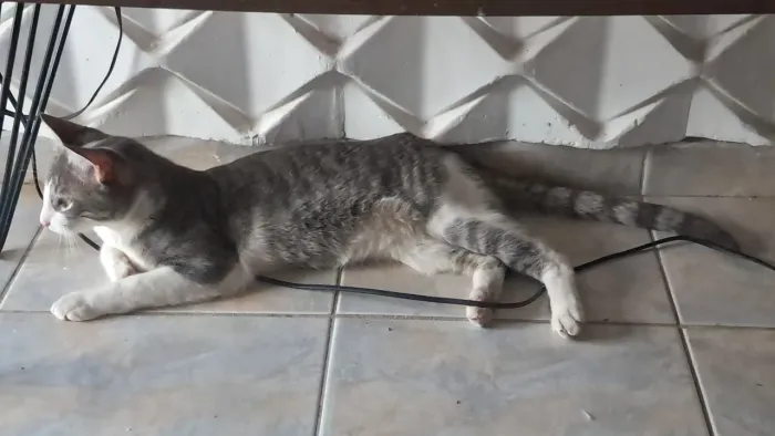 Doação 