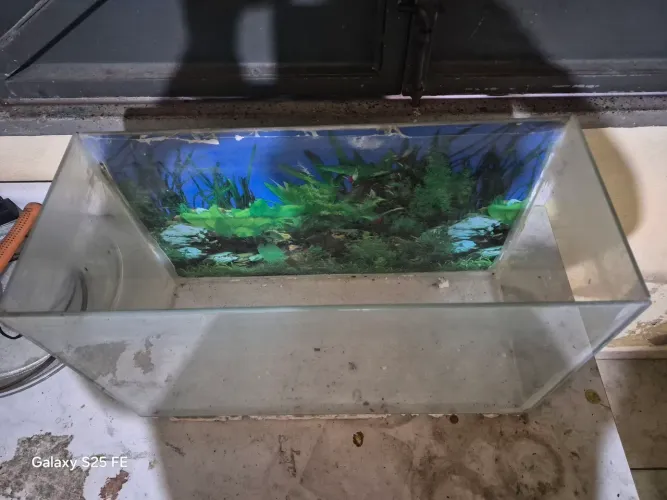 Aquario 30L