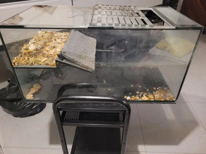 Vende-se aquaterrário usado 