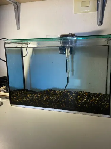 Aquário 30L com filtro incluso