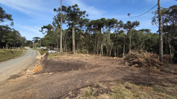 TERRENO RESIDENCIAL em CAMPO ALEGRE - SC, Rio Vermelho