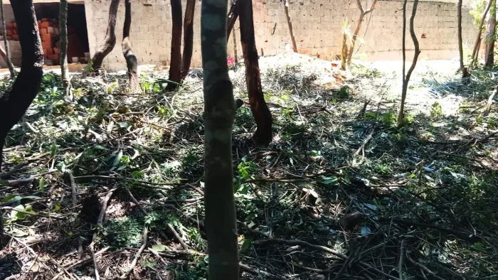 Fj jardim