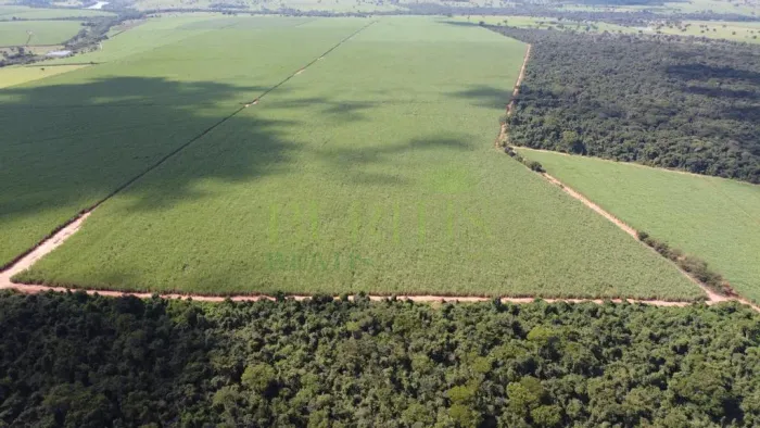 Fazenda à venda em Caçu, Setor Central, com 1 quarto, com 20 alqueires
