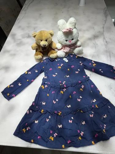 Vestido Carters- Usado poucas vezes