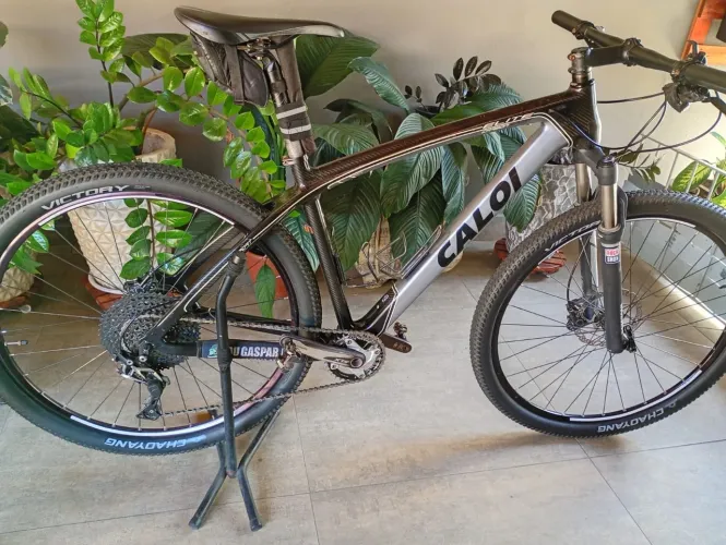 Caloi elite carbon