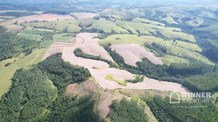 Fazenda com 3 dormitórios à venda, 3920000 m² por R$ 35.000.000,00 - Flamenguinho - Ibaiti