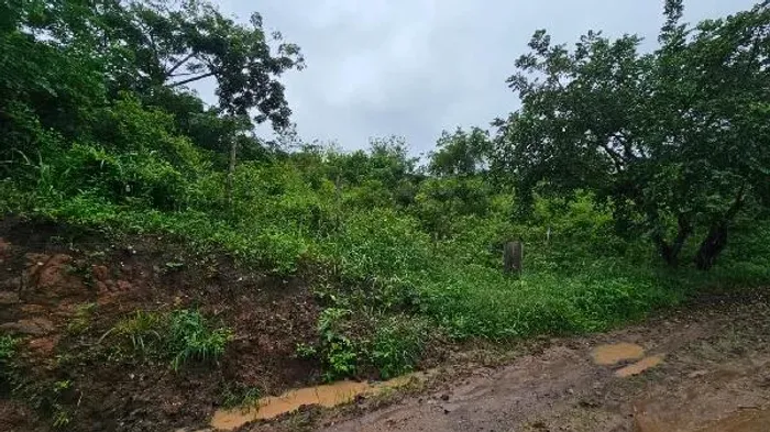 Condições especiais Terreno no Lot Recanto Carpina, Lagoa do Carro - PE, Nº S | Venda Onl