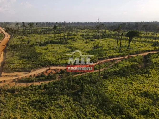Fazenda 826 alqueires (4.000 hectares) Uruará - PA