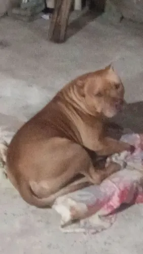 Doação