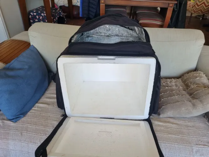 Bag para entrga
