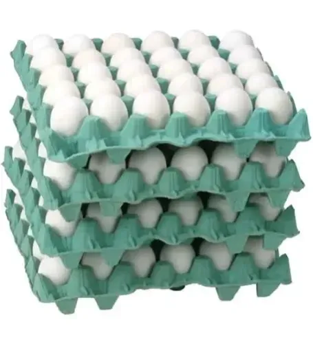 Bandeja de ovos com 30 ovos