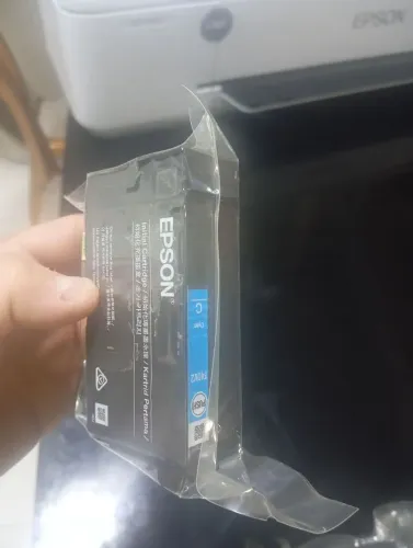 Cartuchos original Epson t3170.