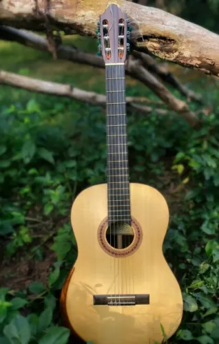 Violão Cleyton Fernandes Studio (canhão sonoro!)