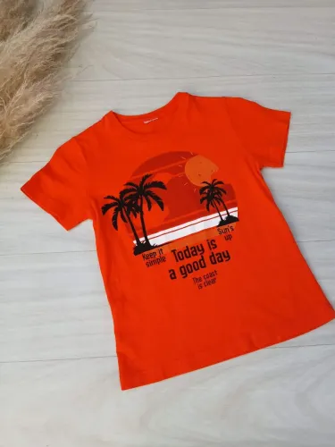 Camiseta Infantil Masculina <br>?Tam 5 anos<br>?15,00