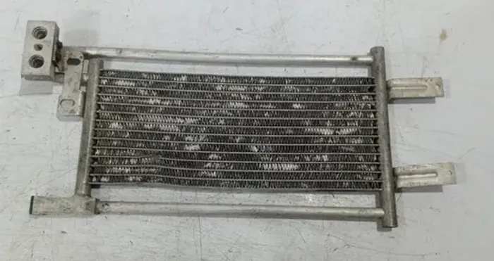 Refrigerador De Óleo Bmw 318 E36 1992 - 1999