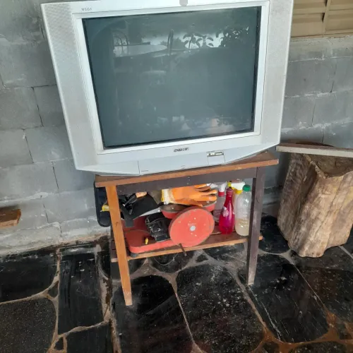 Vendo televisão 29 polegadas semp antga