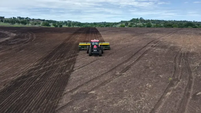 FAZENDA MUNICÍPIO RIBEIRÃO CASCALHEIRA MT 346 ALQUEIRES