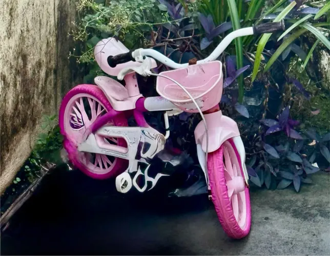 Bicicleta infantil com cestinha 