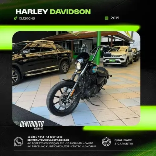 HARLEY-DAVIDSON XL1200NS 2019