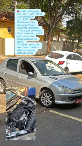 Peugeot 206 Allure 1.6 Flex 16V 3P 2008