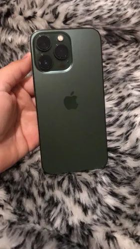13 Pro 256gb