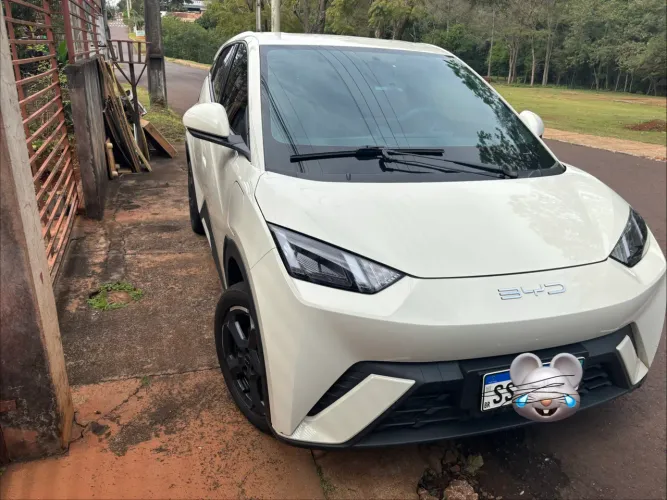 BYD Dolphin Mini (Elétrico) 2025