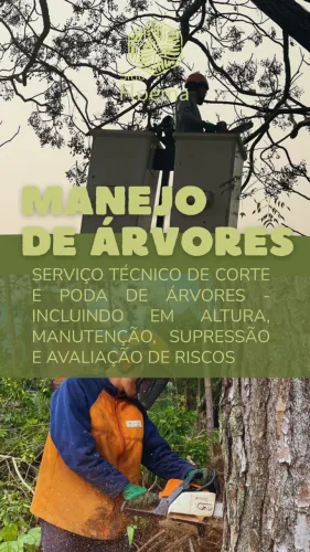 Podas, roçadas e manejos especializados