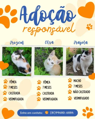 Doação