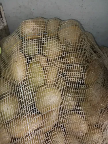 Batatinha inglesa