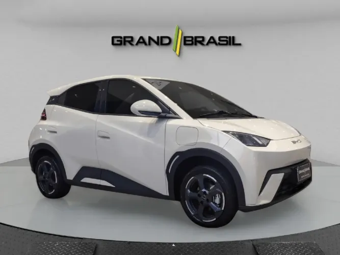 BYD Dolphin Mini (Elétrico) 2024