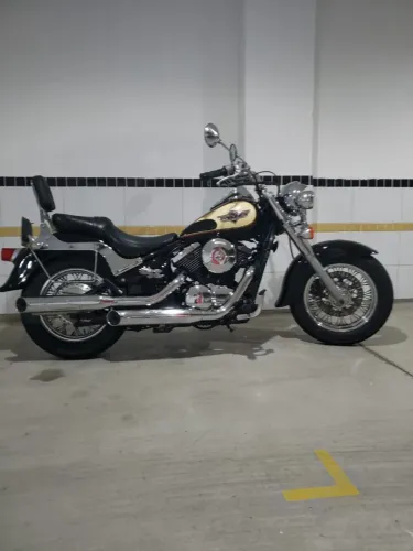 Kawasaki vulcan classic 800 cc