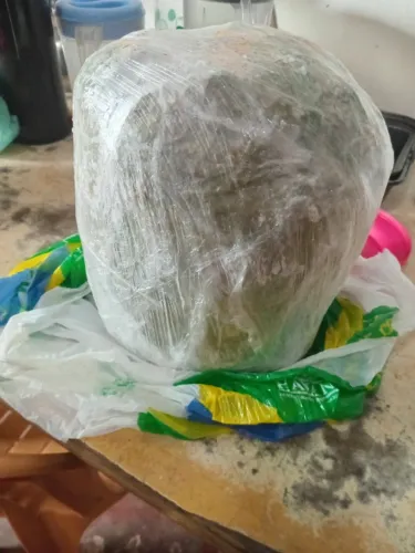 Vendo polpa de Buriti