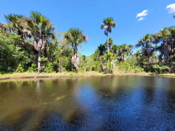 Sitio á venda em Timon com 20 hectares, riquíssimo em água, ótima casa sede, apenas 3.5 km
