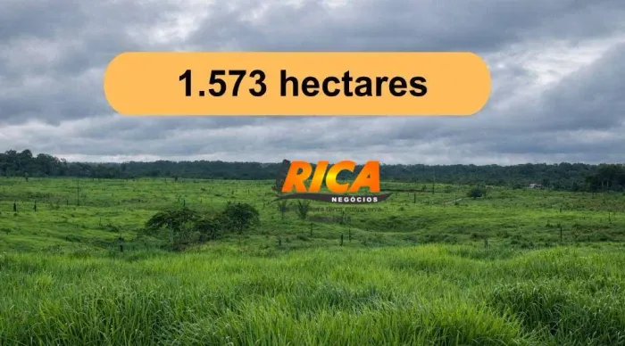 Linda Fazenda à Venda com 1.573 Hectares no Distrito de Realidade Humaitá- AM.