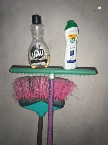 cuido da sua casa enquanto vc cuida de vc