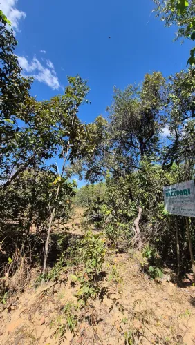 Terreno em Cavalcante Chapada dos veadeiros