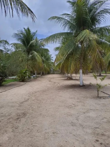 Granja com 16 hectares na região de Vera cruz
