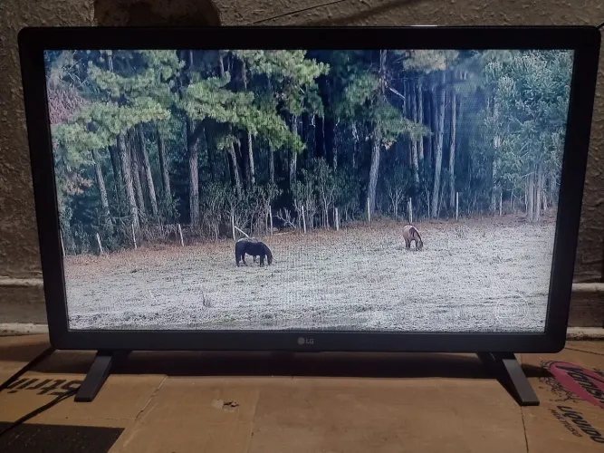 Smart TV e Monitor 24" HD LED LG 24TL520S-PS Preto