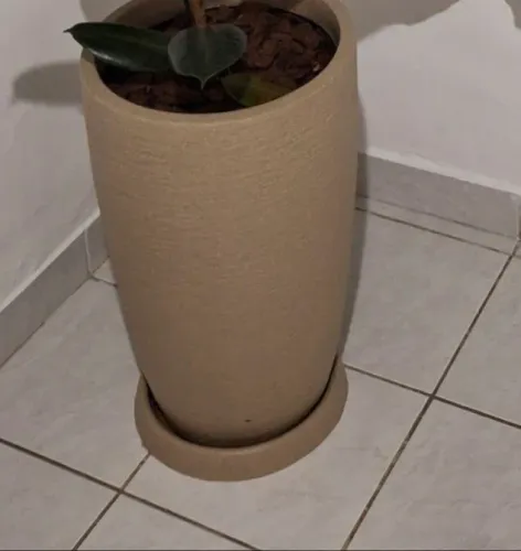 Vaso de planta já com terra e manta ( cortesia plantinha Natural))